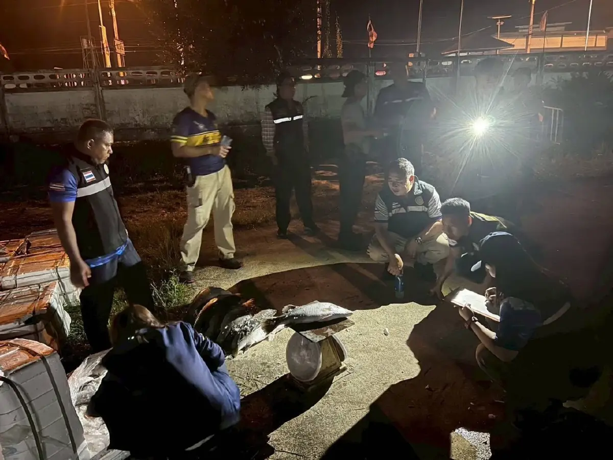 กรมประมง จับปลากะพงเถื่อน ที่สุไหงโกลก 7,536 กก. กว่า 6 แสนบาท