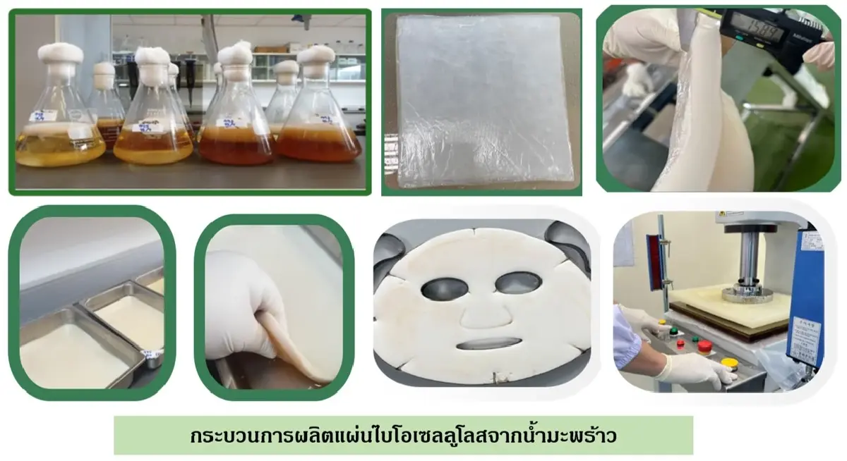 ส่องผลงานวิจัยไทย วว.ส่งคว้ารางวัลจากเวทีโลก INTARG และ ITEX 2025