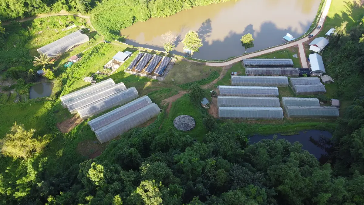 สวพส. กระจายแหล่งน้ำในชุมชนเพิ่ม มุ่งสู่ความมั่นคงอาหารยั่งยืน