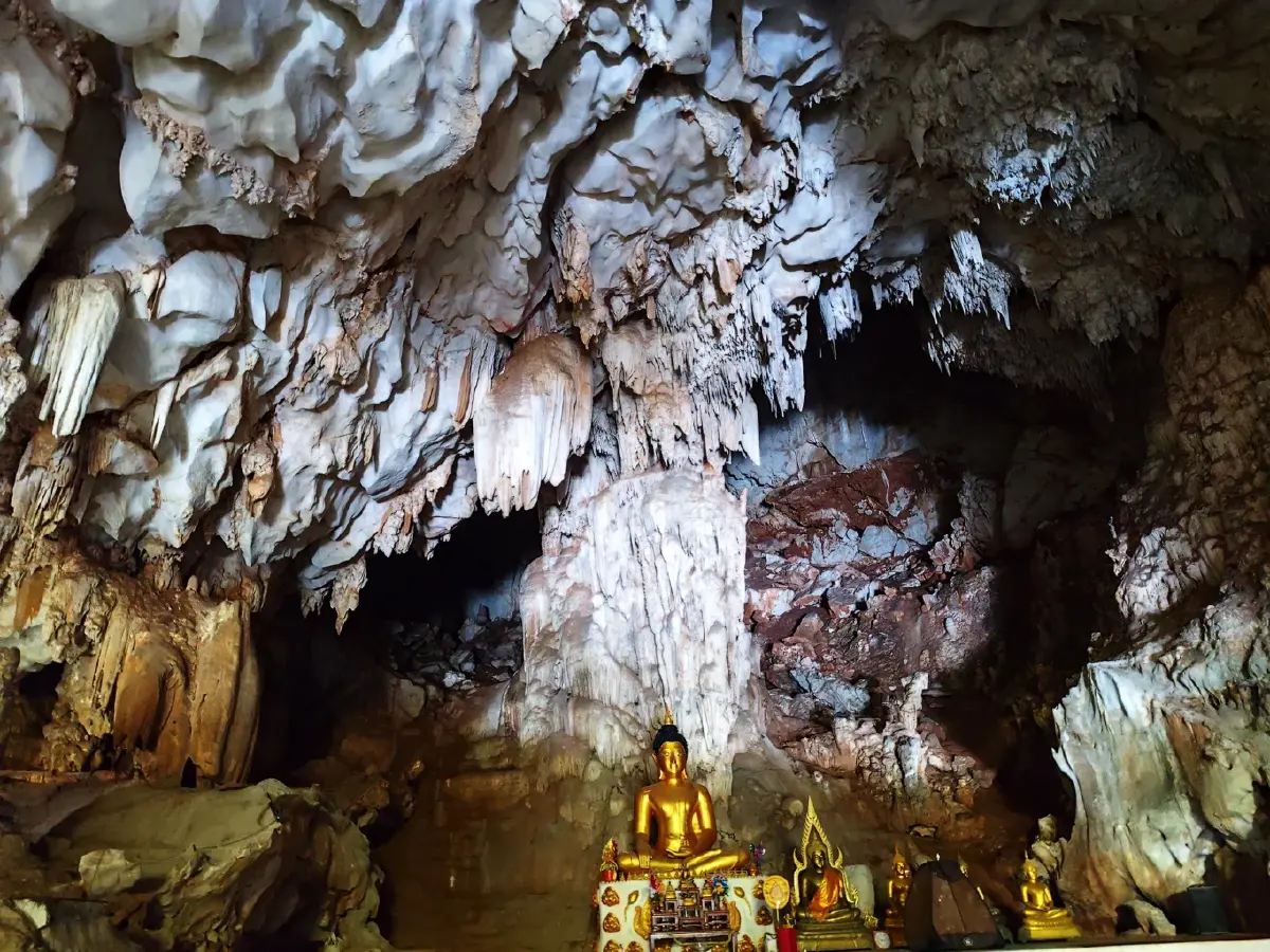 ต้นปิง...ที่เมืองนะ