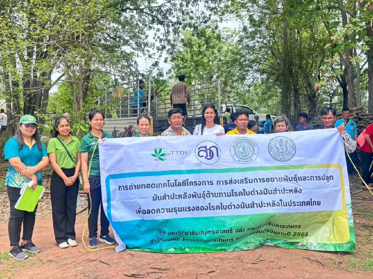 เกษตรฯ ส่งมอบท่อน พันธุ์มันสำปะหลังต้านโรคใบด่างฯ หนุนเกษตรกรผลิตได้มั่นใจมากขึ้น