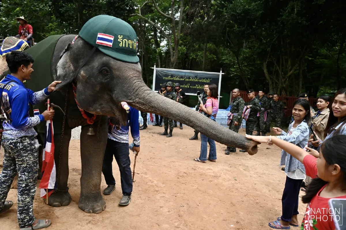 น่ารัก! น้องช้างจัดเต็ม แต่งชุดทหาร-พยาบาล ให้กำลังใจทหารชายแดน