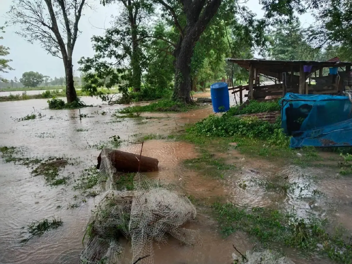 พายุฝนเข้าสกลนครอ่วม ฝนตกหนัก น้ำท่วมหลายอำเภอ ถนนขาด-หมูจมน้ำ