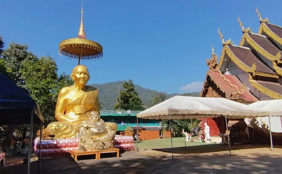 ต้นปิง...ที่เมืองนะ