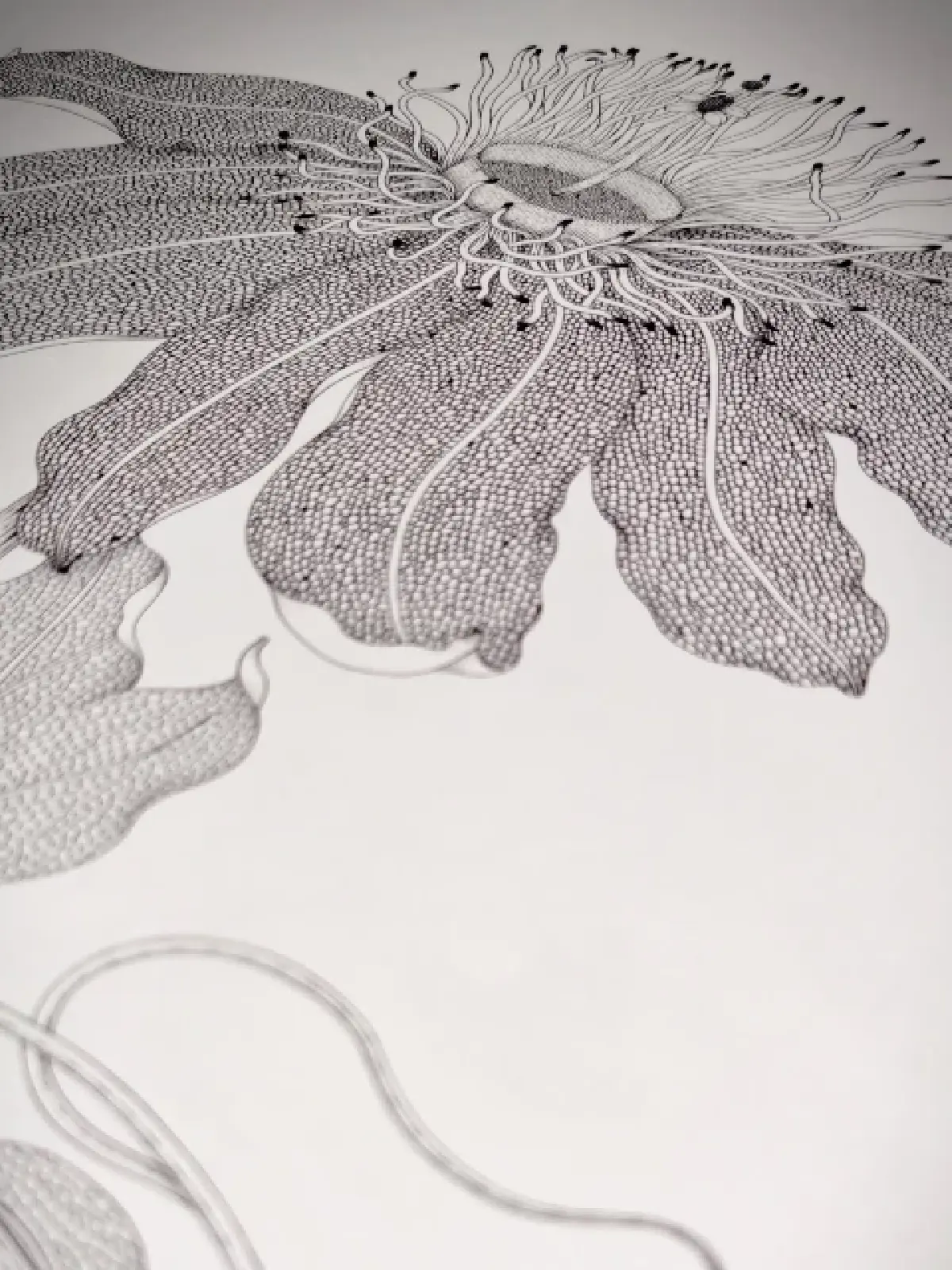 รู้จัก 'สุทธิภา คำแย้ม' ผ่านบทสนทนาระหว่าง เส้น แสง และเสียง