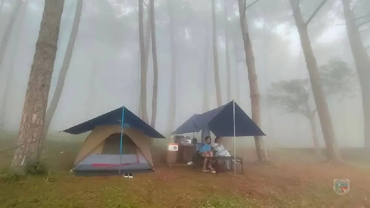 ใครอยู่เหนือบ้าง? ไปเที่ยวกัน 'ภูหินร่องกล้า' อากาศเย็นดี มีหมอก