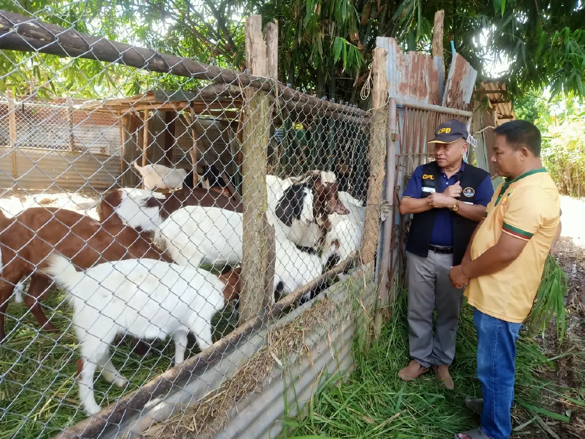 สหกรณ์ สร้างอาชีพทะลุเป้า 68จว. เกษตรกรเข็มแข็งยั่งยืน