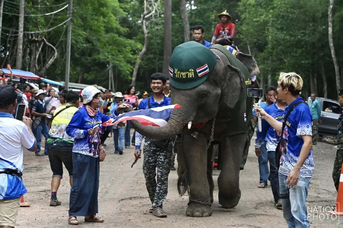 น่ารัก! น้องช้างจัดเต็ม แต่งชุดทหาร-พยาบาล ให้กำลังใจทหารชายแดน