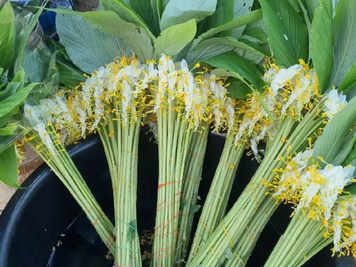 ไปให้เขากอดที่ ‘ทองผาภูมิ’ ธรรมชาติแสนงดงาม ที่ 'กาญจนบุรี'