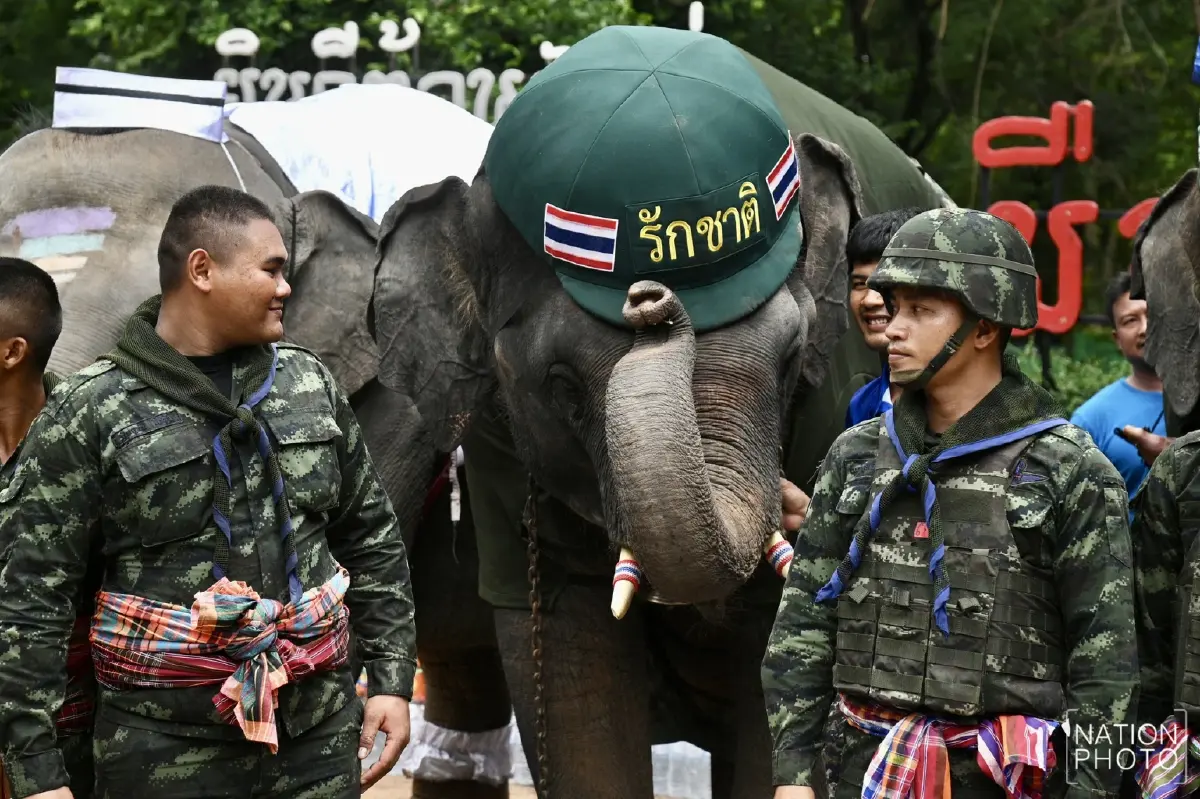 น่ารัก! น้องช้างจัดเต็ม แต่งชุดทหาร-พยาบาล ให้กำลังใจทหารชายแดน