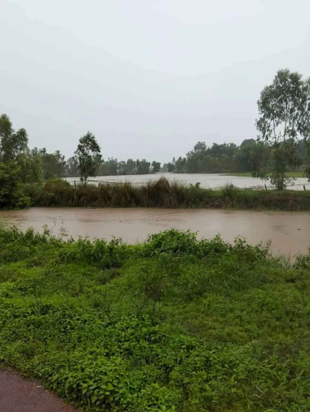 พายุฝนเข้าสกลนครอ่วม ฝนตกหนัก น้ำท่วมหลายอำเภอ ถนนขาด-หมูจมน้ำ