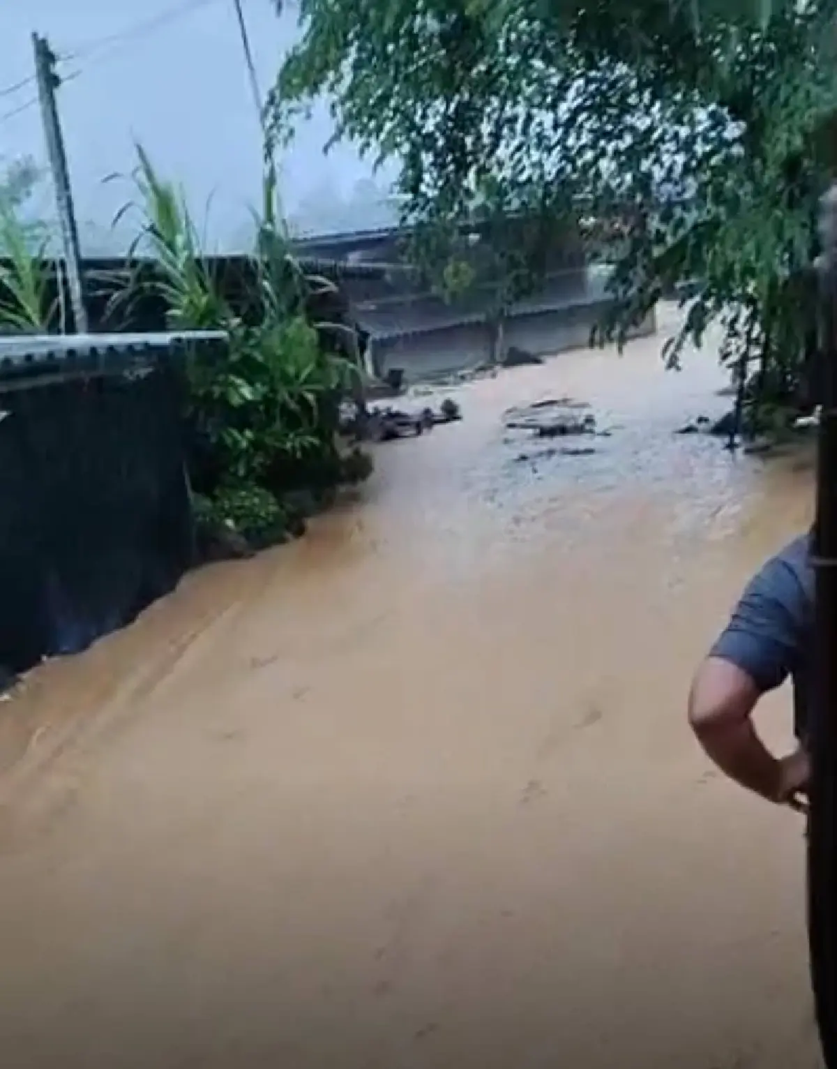 น้ำท่วมเชียงราย น้ำป่าถล่มพญาเม็งราย-เวียงชัย ขนของขึ้นที่สูง