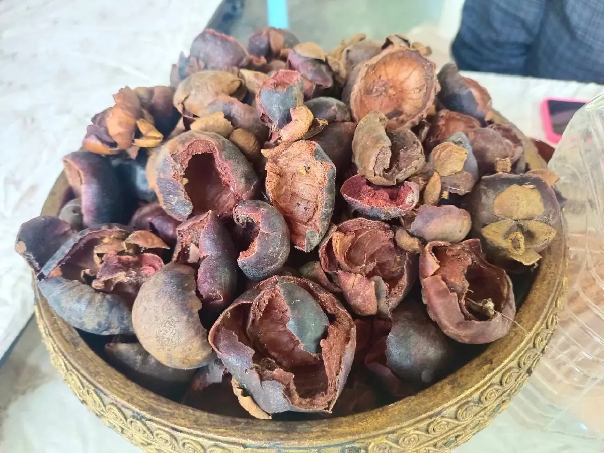 สบู่เปลือกมังคุด ทำรายได้ให้เกษตรกรกว่า9 แสนบาทต่อปี