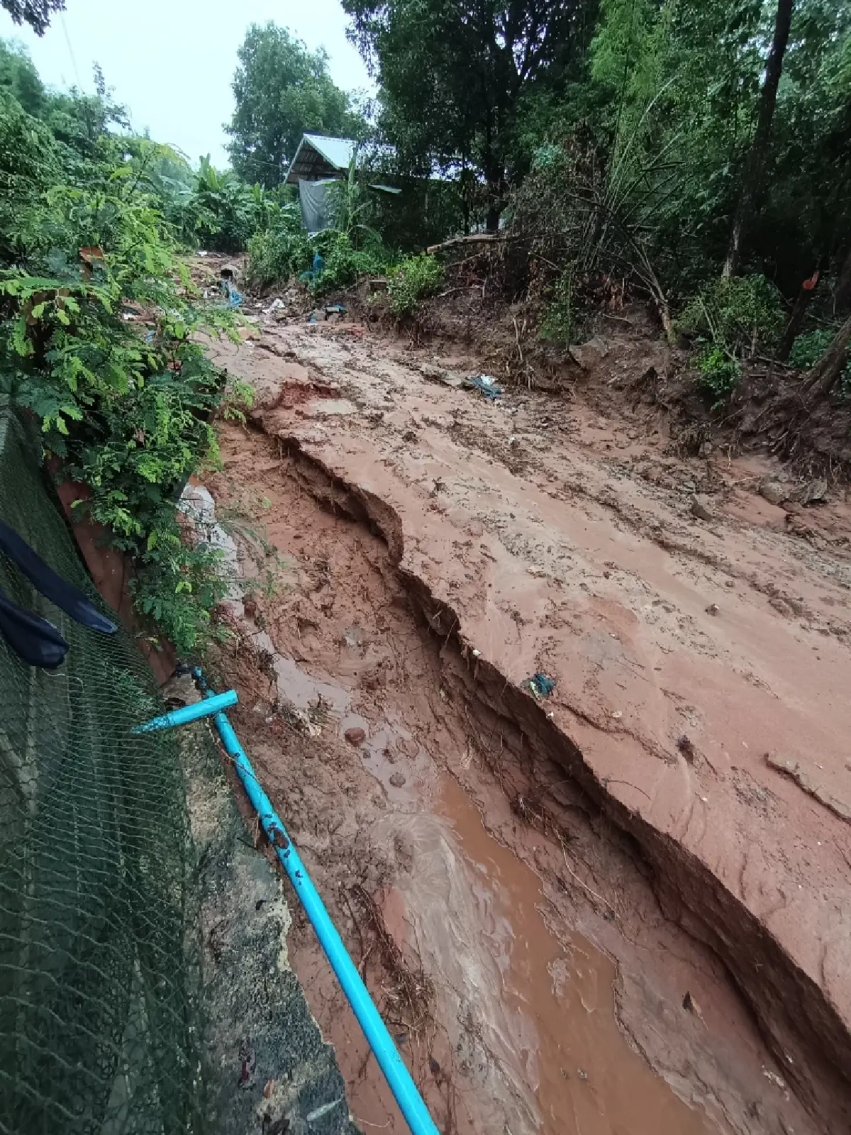 อิทธิพลพายุหวู่ติบ ถล่มยโสธร ฝนตกหนัก ถนนทรุดตัว กำแพงพัง น้ำท่วม