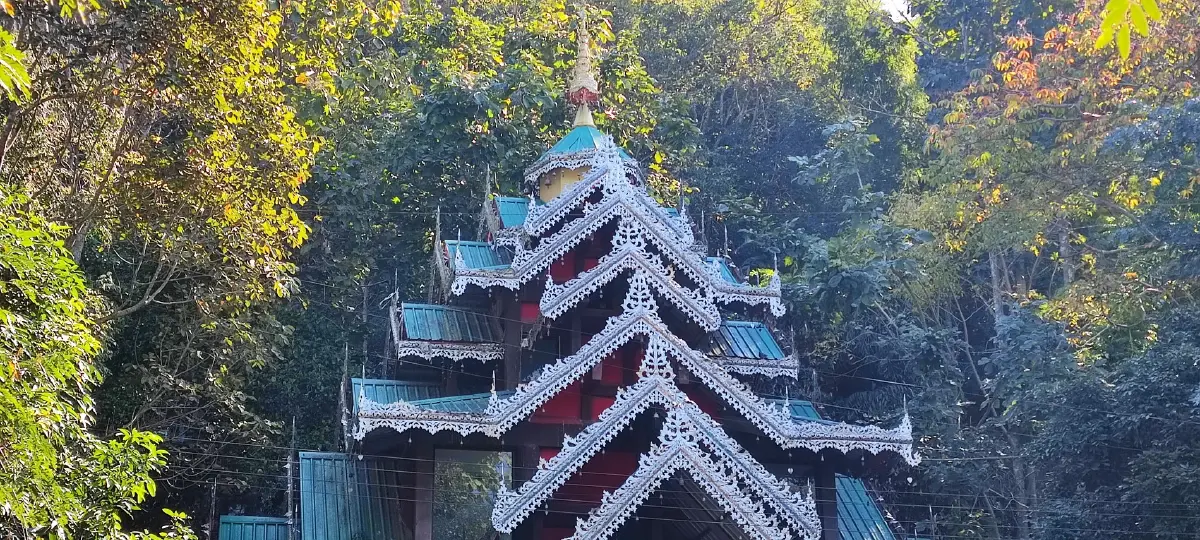 ต้นปิง...ที่เมืองนะ