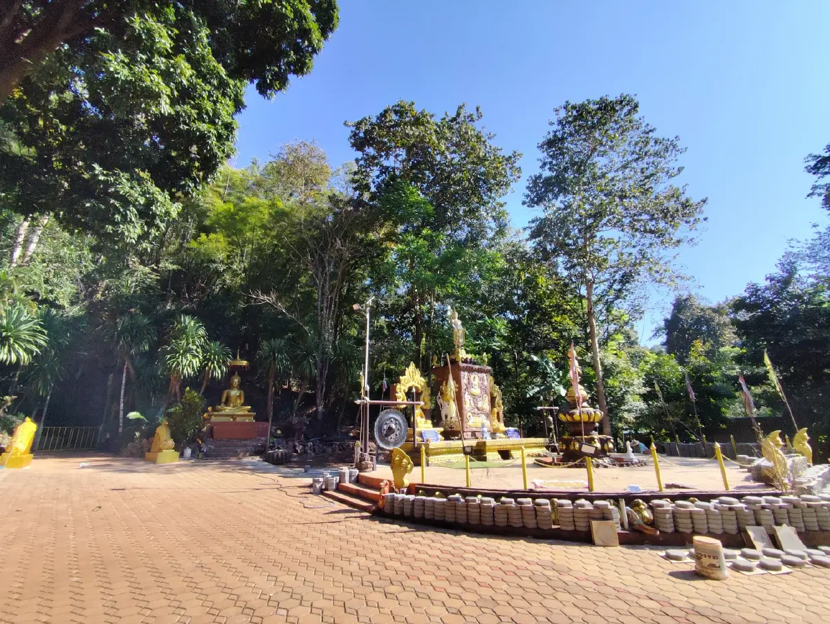 ต้นปิง...ที่เมืองนะ