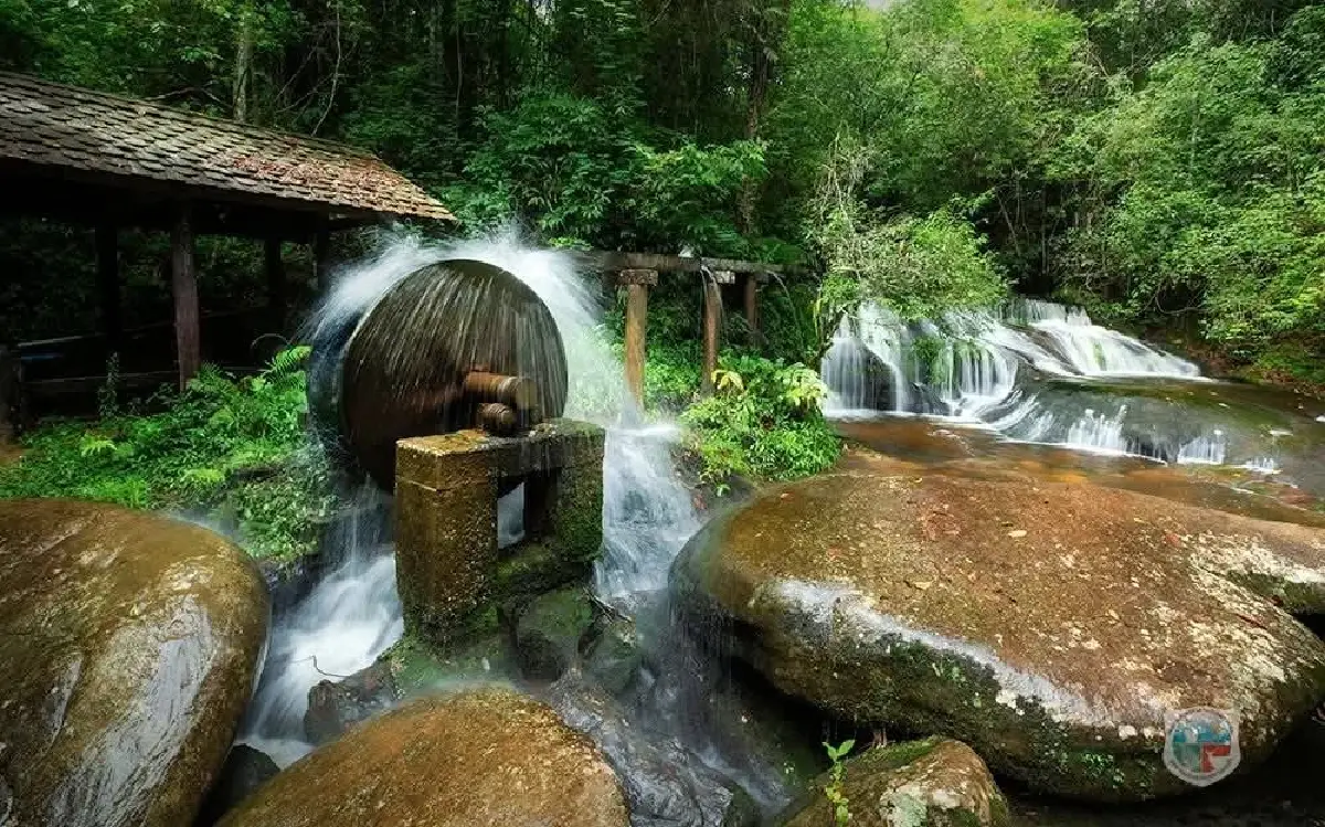 ใครอยู่เหนือบ้าง? ไปเที่ยวกัน 'ภูหินร่องกล้า' อากาศเย็นดี มีหมอก