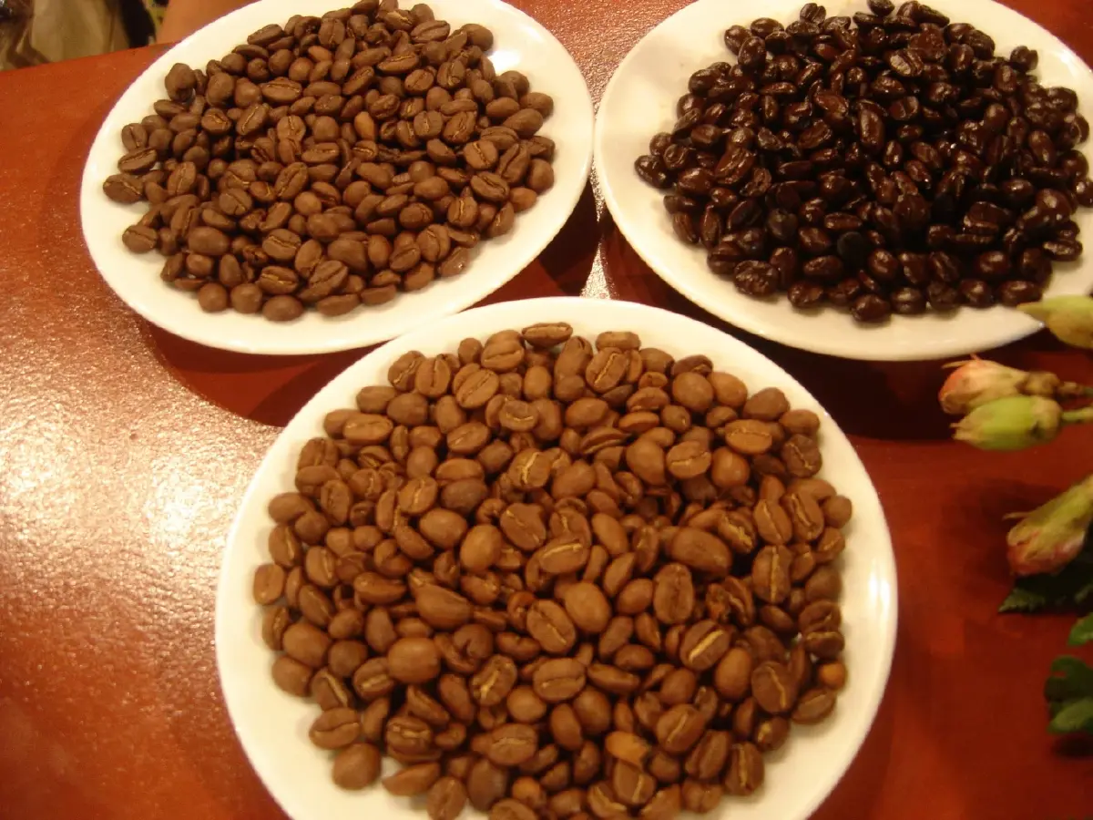 เกษตรฯ ดึงพันธมิตร ยกระดับกาแฟไทย เกษตรกรมีรายได้โตอย่างยั่งยืน