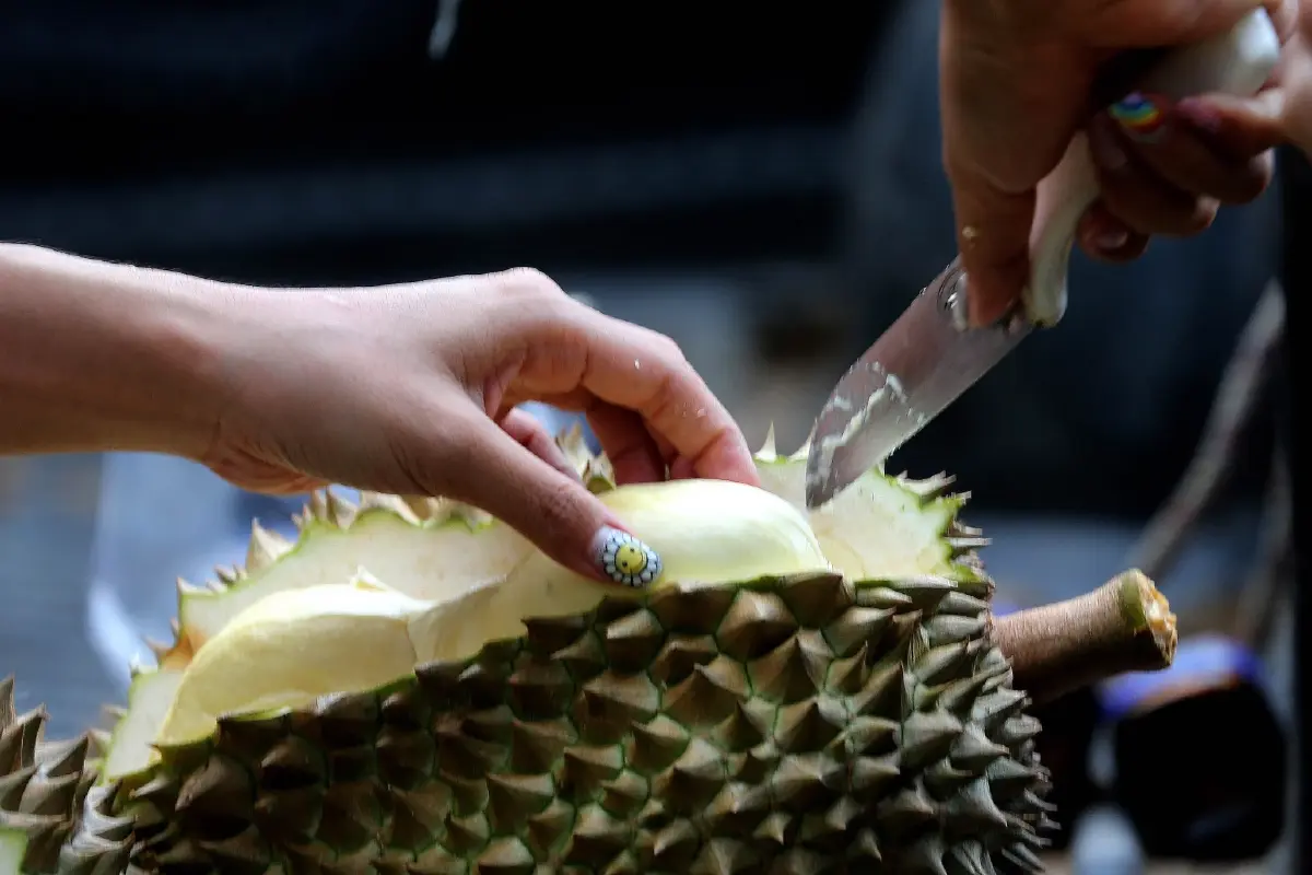 มีจริง ทุเรียนลูกละ 99 บาท หาได้ที่ไหน ไปซื้อได้ตลาดสดทั่วกรุงเทพ