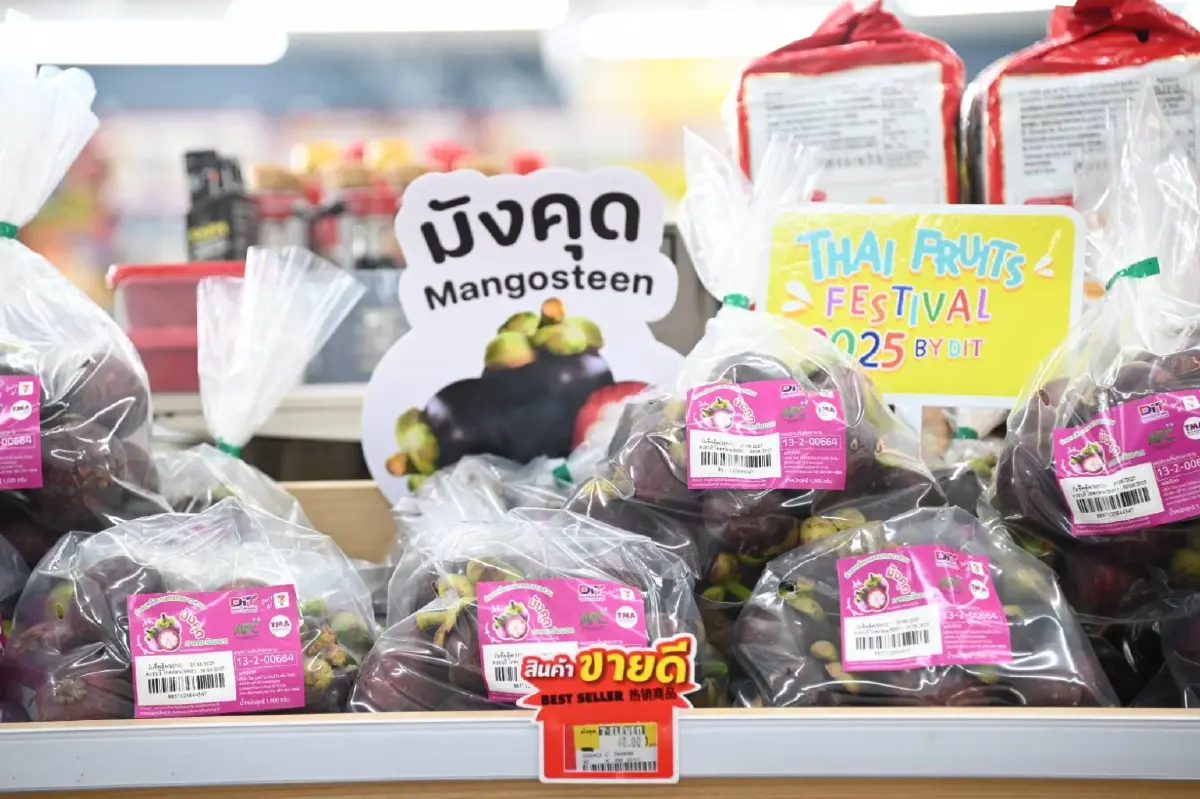 พาณิชย์ จับมือ 7-Eleven ขายมังคุด ถุงละ 40 บาท ทั่วประเทศ