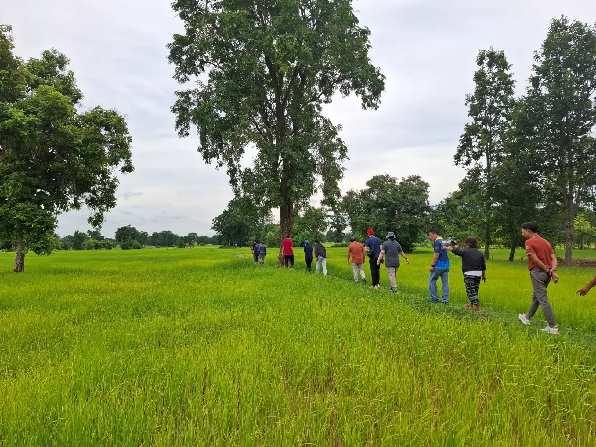 มข. ชงรัฐ! ปลูกข้าวอย่างยั่งยืน ลดต้นทุน เพิ่มกำไร ลดก๊าซเรือนกระจก