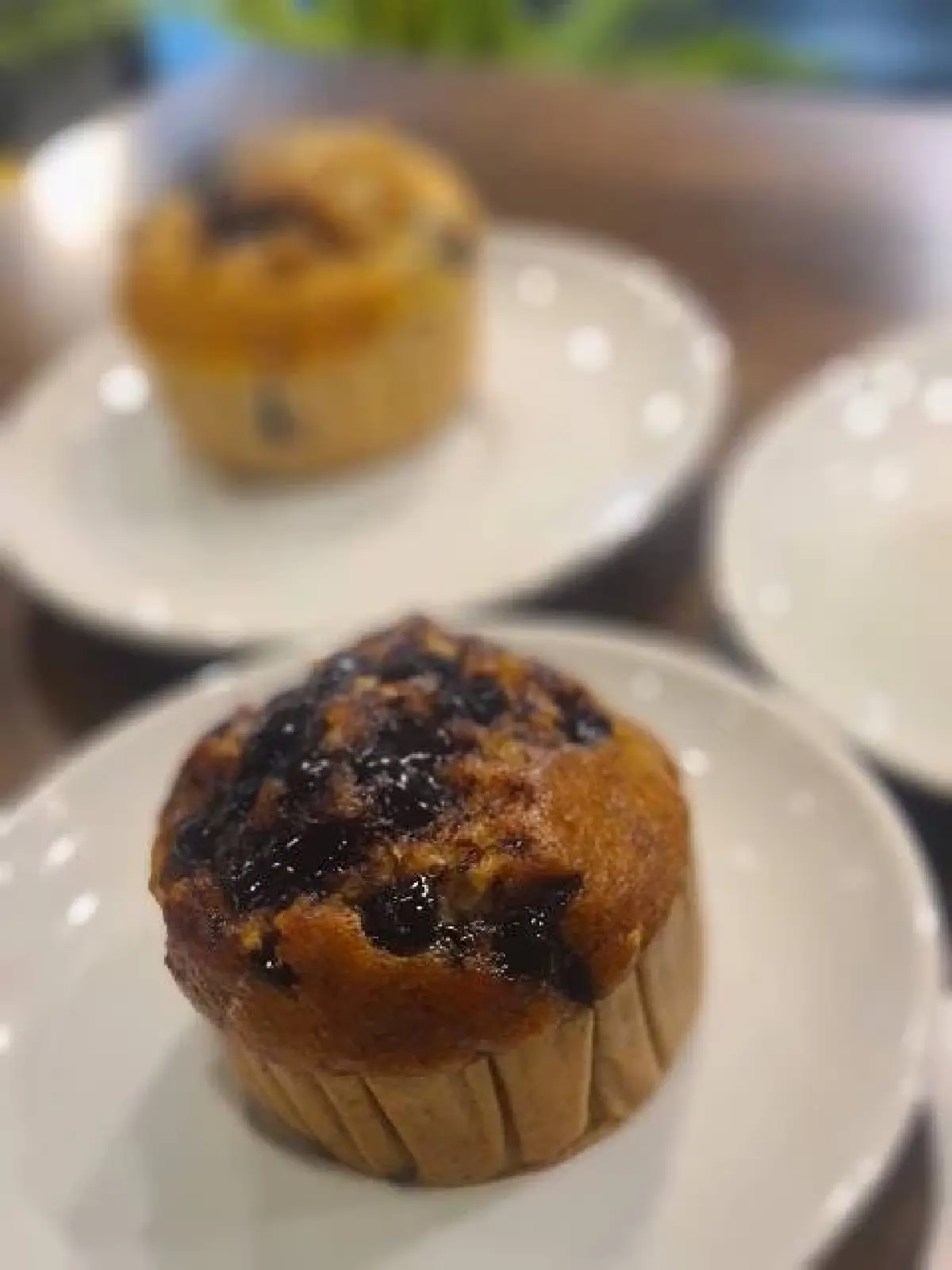 Café Buongiorno มนต์เสน่ห์ของ ‘คาเฟ่’ สไตล์ ‘อิตาเลียน’