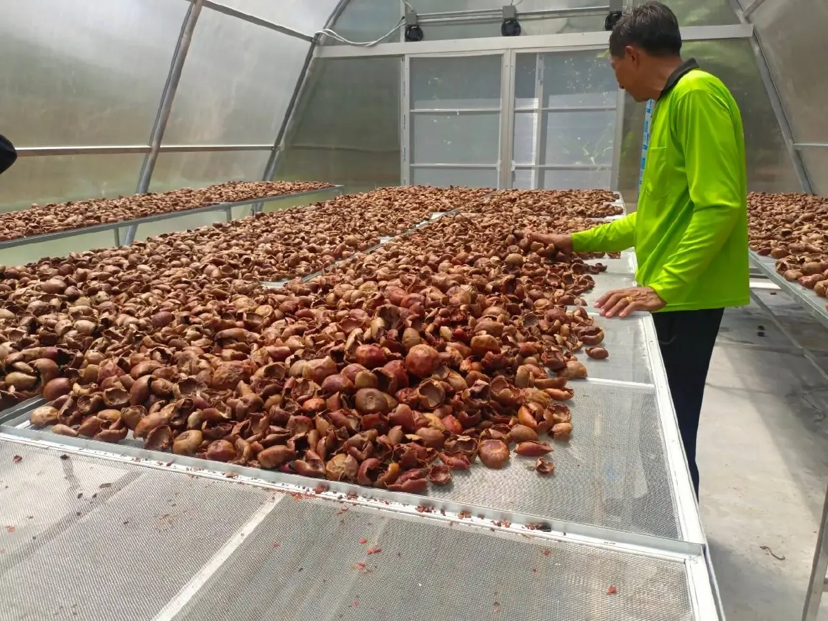 สบู่เปลือกมังคุด ทำรายได้ให้เกษตรกรกว่า9 แสนบาทต่อปี