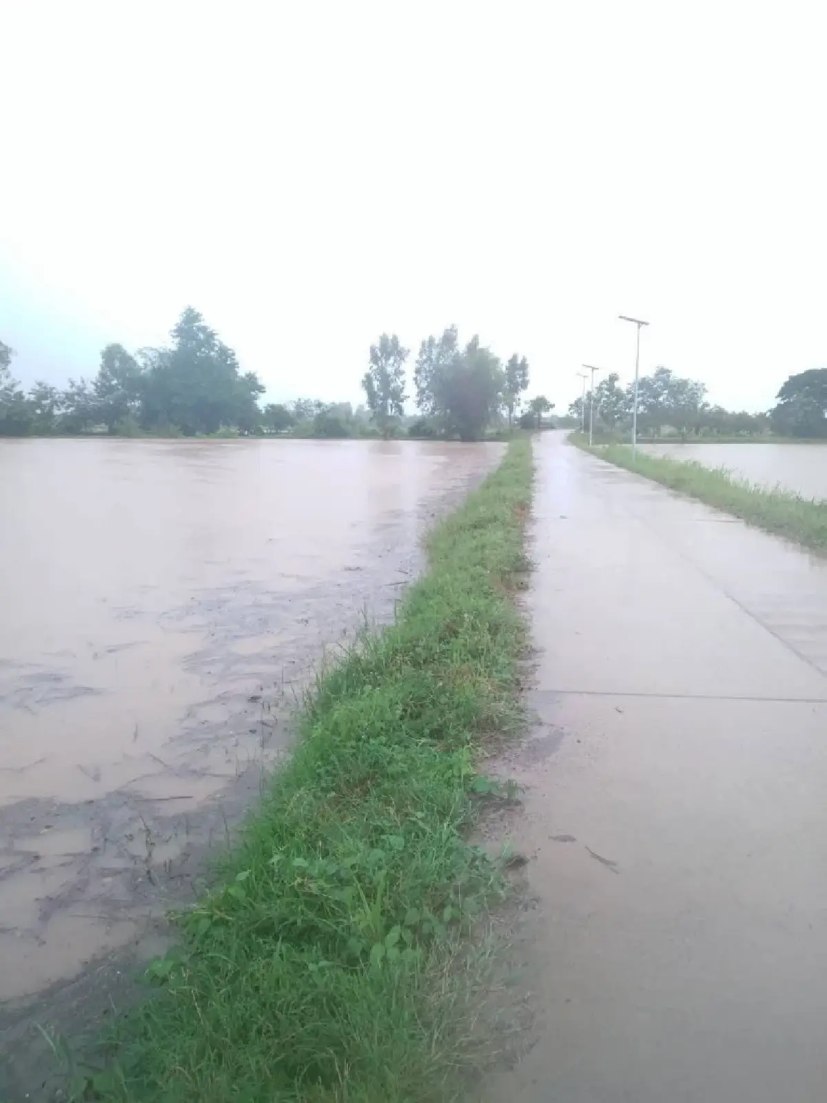 พายุฝนเข้าสกลนครอ่วม ฝนตกหนัก น้ำท่วมหลายอำเภอ ถนนขาด-หมูจมน้ำ