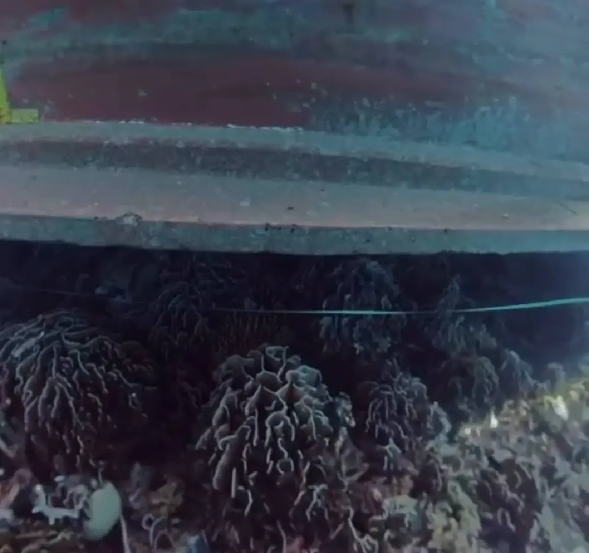 เร่งกู้เรือเมียนมาเกยตื้น หวั่นน้ำมันรั่ว พบปะการังเสียหายหนัก