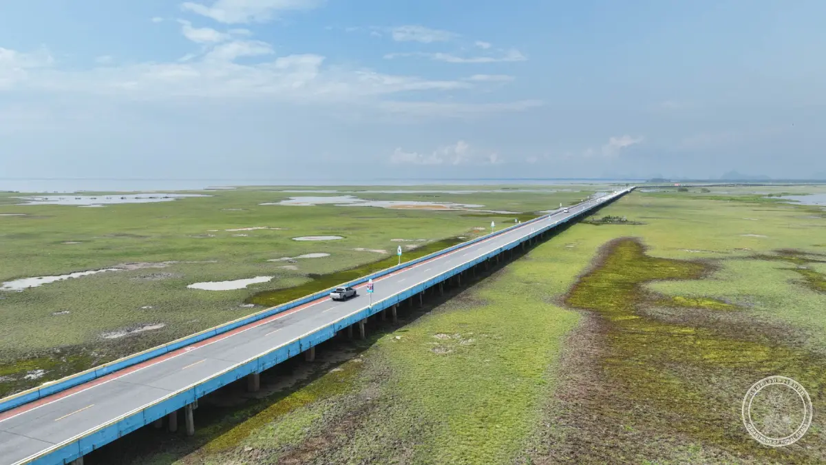 รู้จัก สะพานเฉลิมพระเกียรติ 80 พรรษา สะพานข้ามทะเลสาบยาวสุดในไทย