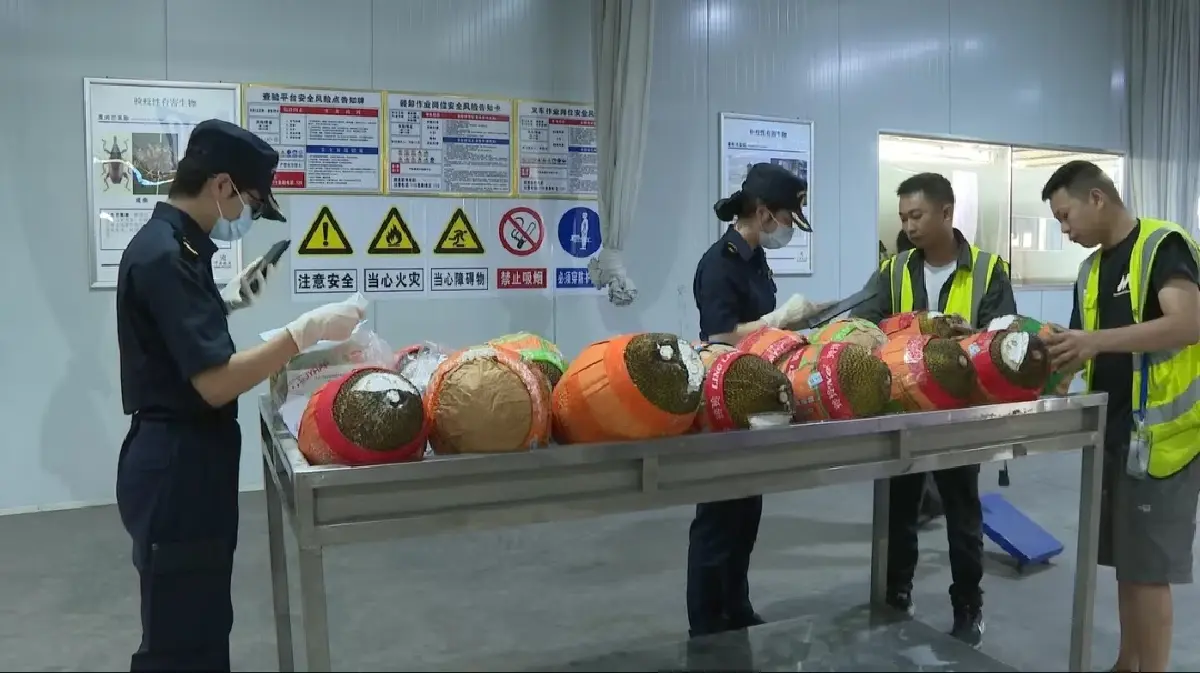 “พาณิชย์” เผย ส่งออกทุเรียนผ่านด่านโหย่วอี้กวน  ฉลุย ไร้ปัญหาติดขัด 