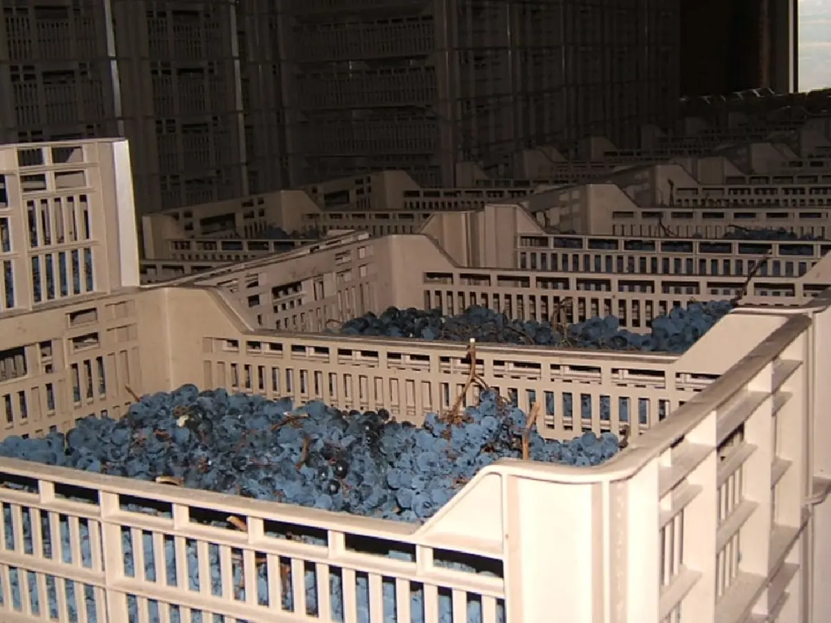 อะมาโรเน ไวน์หมัดหนักที่คลาสสิก