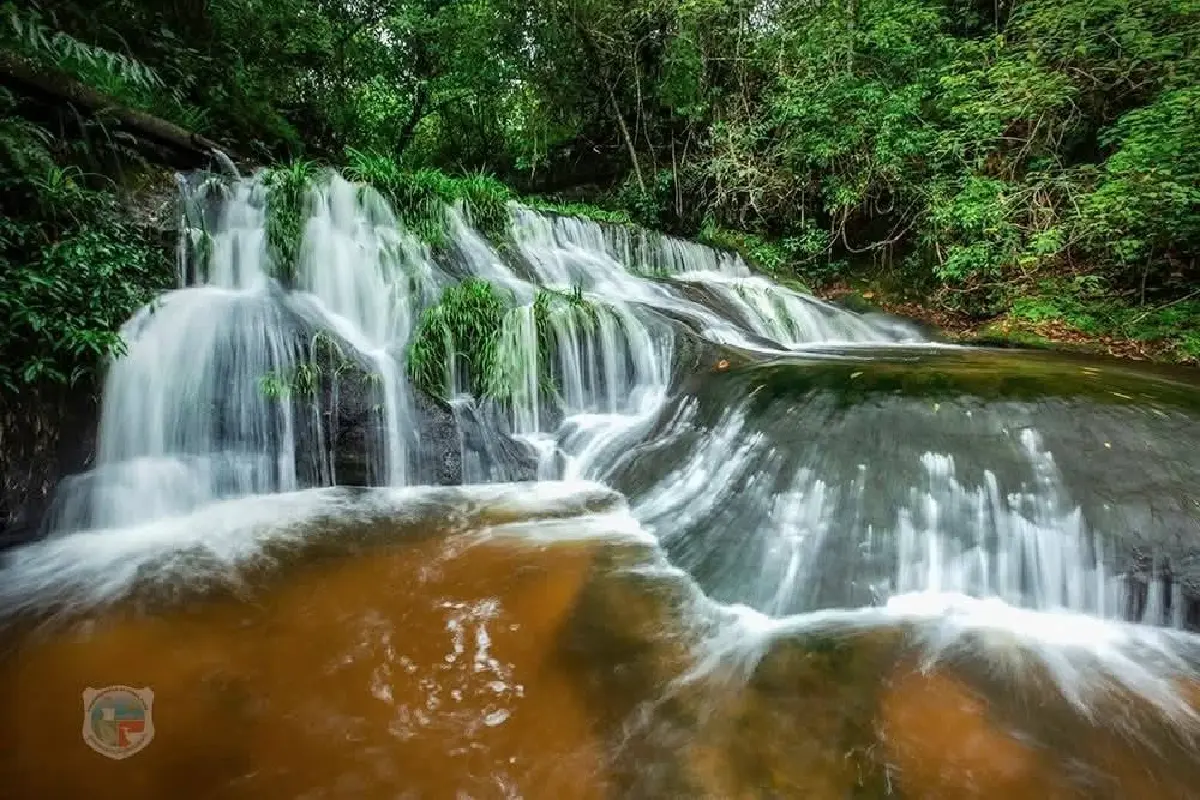 ใครอยู่เหนือบ้าง? ไปเที่ยวกัน 'ภูหินร่องกล้า' อากาศเย็นดี มีหมอก