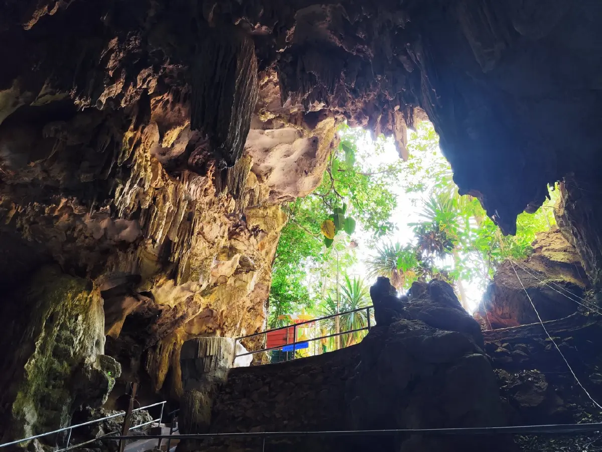 ต้นปิง...ที่เมืองนะ