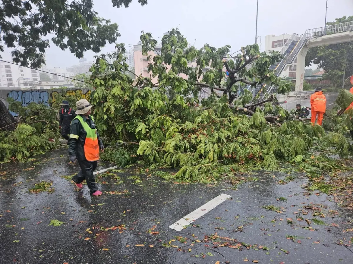 ฝนถล่มกรุง! ต้นไม้ล้มขวางถนนหลายจุด แนะเลี่ยงเส้นทาง
