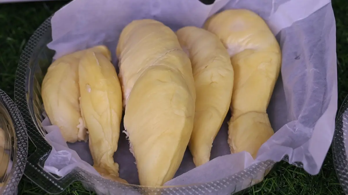 'ทุเรียน' หมอนทองพูละ 9 บาท ช่วง 19-21 มิ.ย.นี้ เช็กรายละเอียด