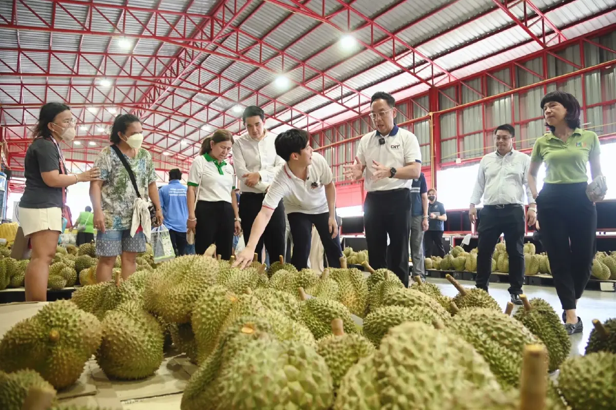 มีจริง ทุเรียนลูกละ 99 บาท หาได้ที่ไหน ไปซื้อได้ตลาดสดทั่วกรุงเทพ