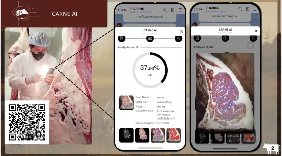 เนื้อพรีเมียมระดับใด CARNE AI ประเมินคัดเกรดด้วย AI รับทุน TED Fund