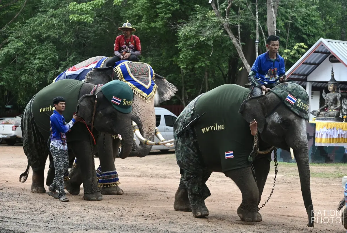 น่ารัก! น้องช้างจัดเต็ม แต่งชุดทหาร-พยาบาล ให้กำลังใจทหารชายแดน