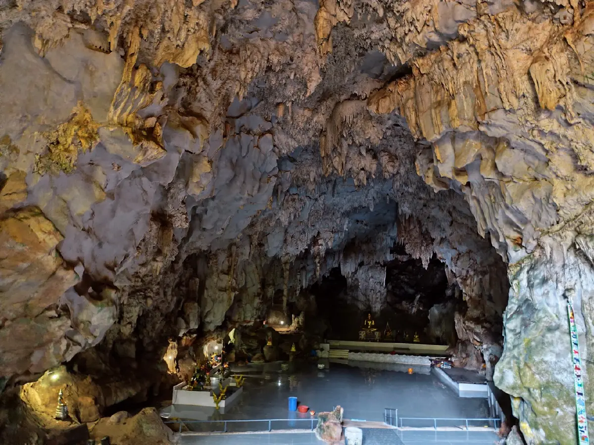 ต้นปิง...ที่เมืองนะ