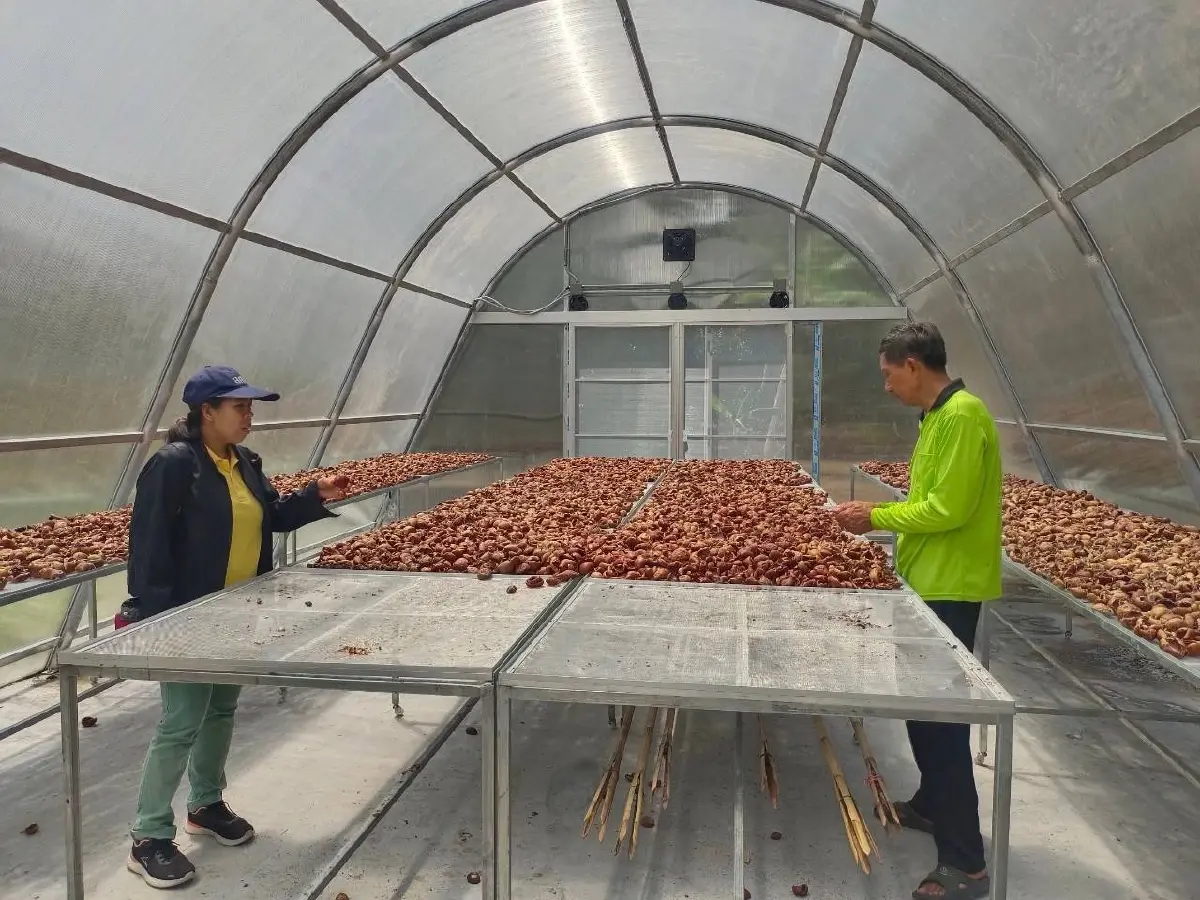 สบู่เปลือกมังคุด ทำรายได้ให้เกษตรกรกว่า9 แสนบาทต่อปี