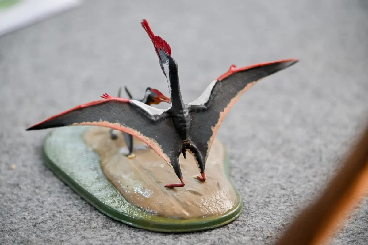 มีมาแล้ว130 ล้านปี เพิ่งค้นพบ 'พญาครุฑ' สัตว์เลื้อยคลานบินได้ตัวแรกของไทย