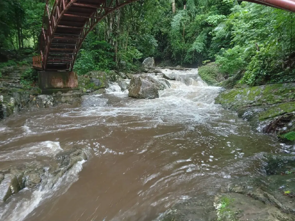 ฝนตกหนัก ทางลื่น จำกัดเข้าชม 'น้ำตกป่าละอู' เพื่อความปลอดภัยนทท.