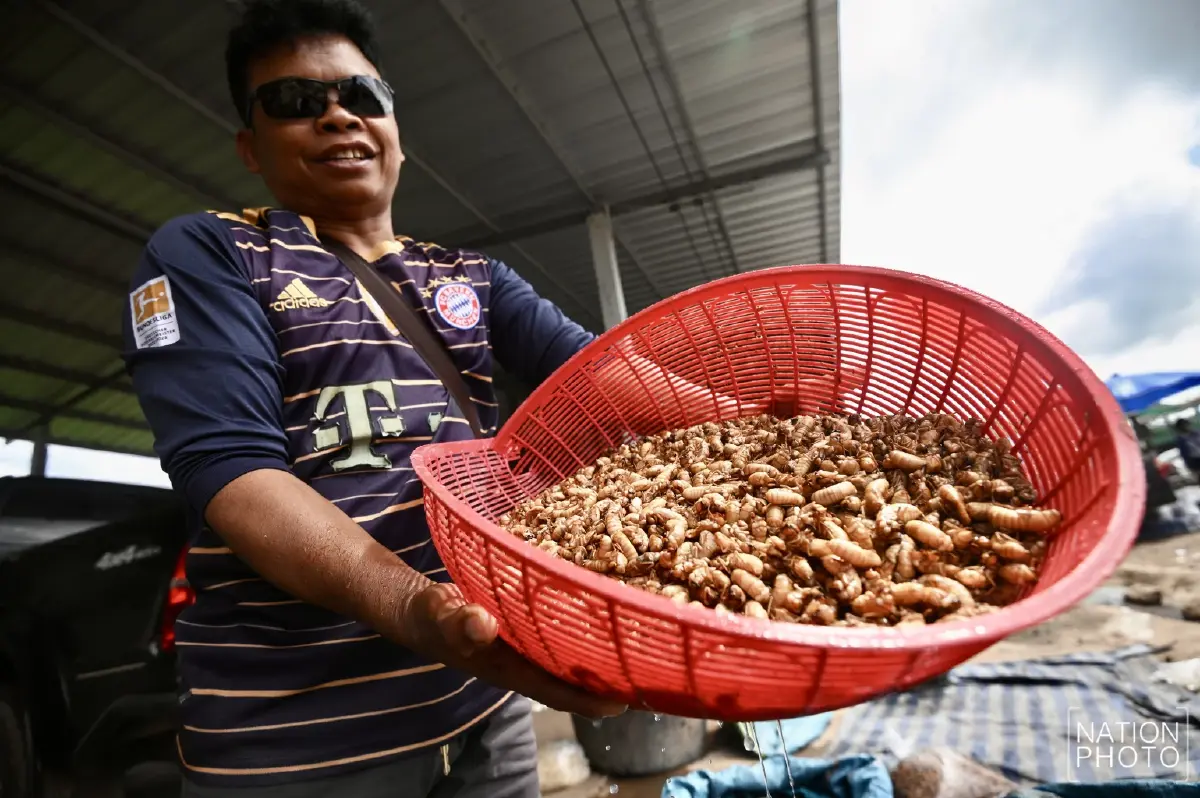 กระทบหนัก! ชาวกัมพูชาขายเห็ดได้น้อย จำกัดเวลาเปิดปิดด่าน