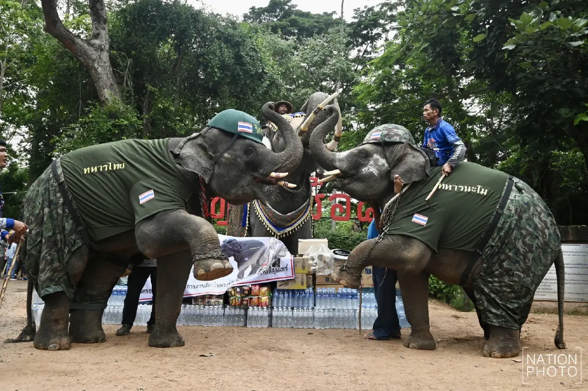 น่ารัก! น้องช้างจัดเต็ม แต่งชุดทหาร-พยาบาล ให้กำลังใจทหารชายแดน