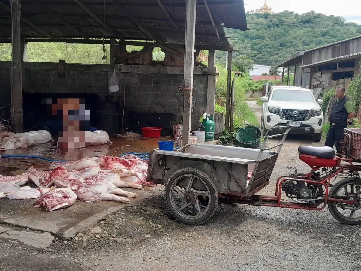 จับโรงเชือดหมูเถื่อนกลางเมืองนครสวรรค์ ยึดซากสุกรกว่า 700 กก.