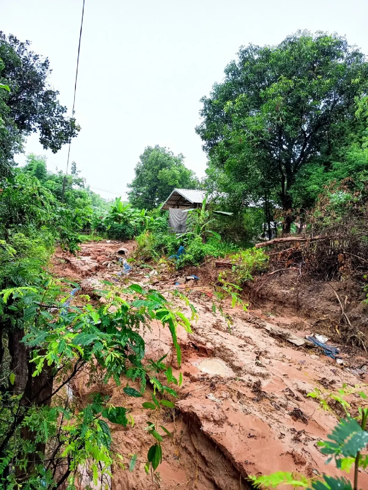 อิทธิพลพายุหวู่ติบ ถล่มยโสธร ฝนตกหนัก ถนนทรุดตัว กำแพงพัง น้ำท่วม