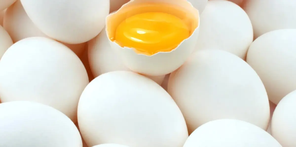 ‘ไข่’ อาหารของคนทั้งโลก ไข่สู้สภาวะเศรษฐกิจ 'กินไข่วันละกี่ฟอง'