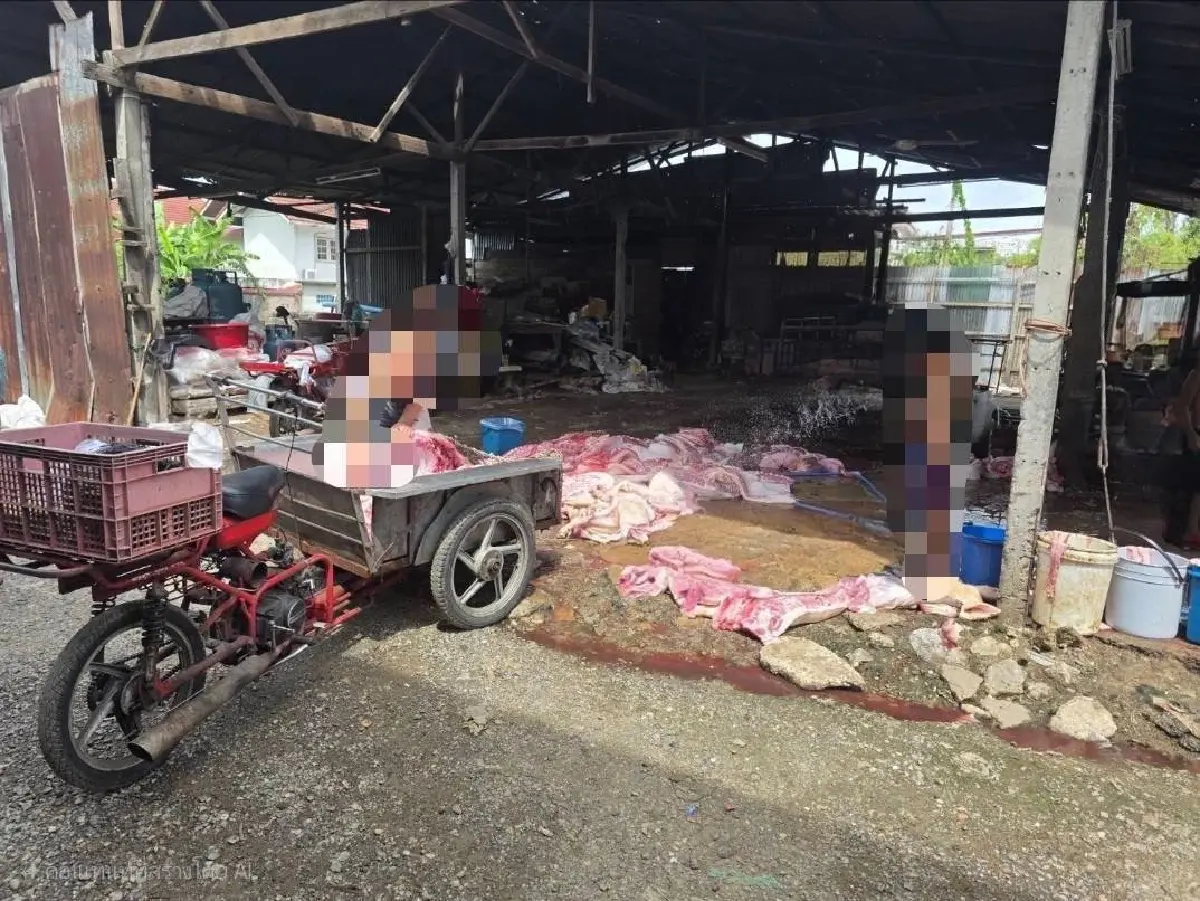 จับโรงเชือดหมูเถื่อนกลางเมืองนครสวรรค์ ยึดซากสุกรกว่า 700 กก.