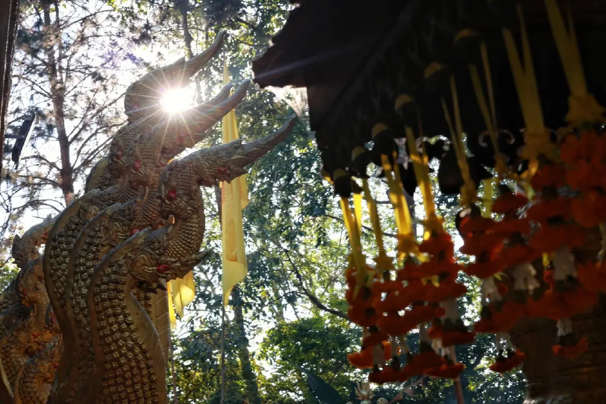 เที่ยวไทยคนละครึ่ง วิธีลงทะเบียน เข้าระบบ amazing thailand รับสิทธิ